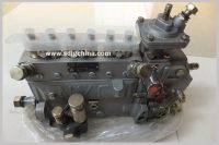 4110000054218 injection pump